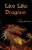 Live Like Dragons
