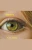 Sightline (Insight)