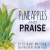 Pineapples And Praise