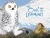 The Owl and the Lemming