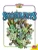 Succulents (Gardening)