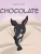 Chocolate - 9781662454059