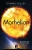 Morhelion (The Long Game)