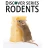 Rodents (Discover)