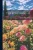 The Rose Annual