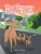 The Teacup Deer Fawn - 9781648019968