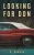 Looking For Don (Frank Vaughn Trilogy)