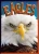 Eagles (Birds Of Prey)