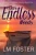 Our Endless Needs (Parker And Dunn Mysteries)