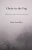 Christ In The Fog: Meditations Of The Functional Hurting
