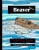 Beaver Coloring Book: 29 Beautiful Beaver Pictures To Color