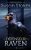 Un Dã©Fenseur Pour Raven (Mercenaires Rebelles) (French Edition)