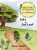 Oaky The Oak Leaf (Treeture Creatures And Flowerbuds) - 9781912765324