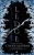 Ledge: The Glacian Trilogy, Book I