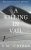 A Killing in Vail (Ryn Lowell Colorado Mysteries)