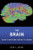 The Brain: What Everyone Needs To Knowâ®