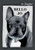 Bello Jo (German Edition) - Paperback