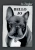 Bello Jo (German Edition) - Paperback