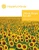Shine Hope for All Program