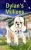 Dylan's Millions - (Paperback or Softback)