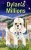 Dylan's Millions - (Hardback or Cased Book)