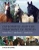 Osteopathy And The Treatment Of Horses