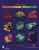 Collecting Fluorescent Minerals