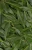 Bay Leaf Journal