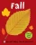 Fall (Bright Baby Touch And Feel)