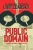 Public Domain Volume 2