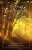 The Druid Grove Handbook