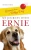 My Journey With Ernie: Lessons From A Turkey Dog