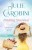 Finding Stardust (Hollywood By The Sea)