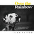 Over The Rainbow