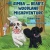 Simba And Bear'S Woodland Misadventure