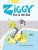 Ziggy Fun in the Sun (Ziggy the Iggy)