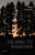 Talking to Shadows: Poems (Southern Messenger Poets)