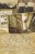 Victory Garden: A Novel