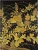 Autumn Grasses Journal (Diary, Notebook)