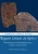 Aegean Linear Script(s): Rethinking the Relationship Between Linear A and Linear B (Cambridge Classical Studies)
