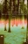 Walking with Ghosts: Poems (Earthworks Series)