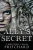 Ally's Secret (The C I N Series)