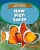 How Fish Swim (The Science of Animal Movement)