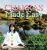 Chakras Made Easy - 9781543762099