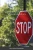 Stop & Think