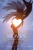 Heaven (Halo Trilogy)