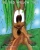 The Old Willow Tree