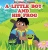 A Little Boy and His Frog