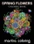 Spring Flowers Coloring Book