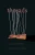 Threads : A Poetry Collection